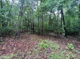 Tbd Buggy Drive - Photo 11