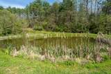 Lot 2 Flowing Springs Drive - Photo 6