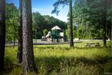 412 Plumtree Circle - Photo 10