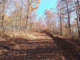 1500 Bear Mountain Road - Photo 2