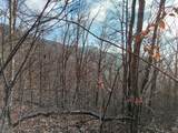 1500 Bear Mountain Road - Photo 4