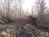 1500 Bear Mountain Road - Photo 5