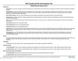 807 Fayetteville Road - Photo 58