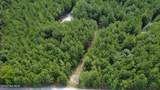 239 Lick Creek Road - Photo 10