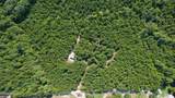 239 Lick Creek Road - Photo 3