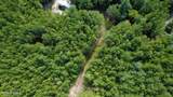 239 Lick Creek Road - Photo 5
