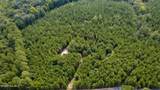 239 Lick Creek Road - Photo 9