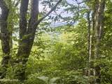 Lot 6&11 Big Choga Road - Photo 6