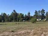 4441 Etterle Road - Photo 11