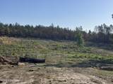 4441 Etterle Road - Photo 12