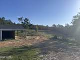 4441 Etterle Road - Photo 16