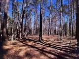 0 Osprey Lane - Photo 5