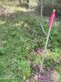 Lot 22 Buckhorn Church Road - Photo 6