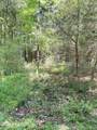 Lot 22 Buckhorn Church Road - Photo 8