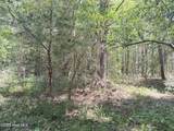 Lot 22 Buckhorn Church Road - Photo 10