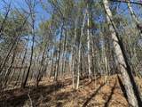 Lot 31 Willow Way - Photo 5