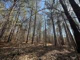 Lot 31 Willow Way - Photo 7