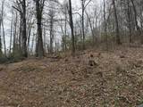 #20 Rainwater Point / Indian Lake Road - Photo 7