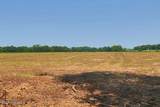 Tbd Kehukee Drive - Photo 10