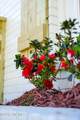 3416 Wilshire Boulevard - Photo 4