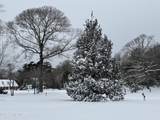 2 Raintree Way - Photo 41