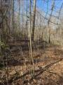 TBD Royal Oaks Trail - Photo 12