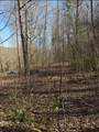 TBD Royal Oaks Trail - Photo 13