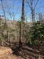 TBD Royal Oaks Trail - Photo 5