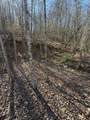 TBD Royal Oaks Trail - Photo 6