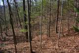 00 Chestnut Ridge - Photo 5