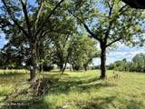 Tbd Roberdel School Road - Photo 4
