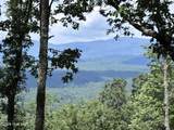 Lot 169 Wilderness Creek Way - Photo 2