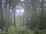 Lot 169 Wilderness Creek Way - Photo 4