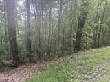 Lot 169 Wilderness Creek Way - Photo 5