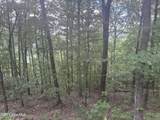 Lot 169 Wilderness Creek Way - Photo 6