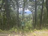Lot 169 Wilderness Creek Way - Photo 7