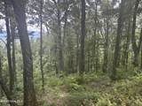 Lot 169 Wilderness Creek Way - Photo 8