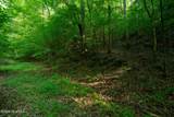99ac Highway 74/19-129 - Photo 23