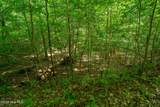 99ac Highway 74/19-129 - Photo 29