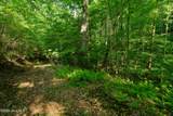 99ac Highway 74/19-129 - Photo 32