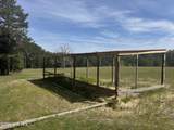 490 Springhill Church Road - Photo 6