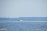 287 Old Pamlico Beach Road - Photo 82