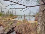 0 Lobelia Road - Photo 23
