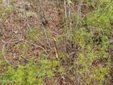 0 Lobelia Road - Photo 36