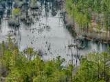 0 Lobelia Road - Photo 41