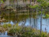 0 Lobelia Road - Photo 47