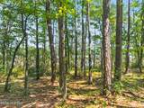 3075 Valderama Way - Photo 12