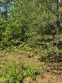 Lot 12 Paradise - Photo 1