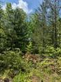 Lot 12 Paradise - Photo 2