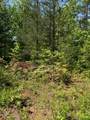 Lot 12 Paradise - Photo 3